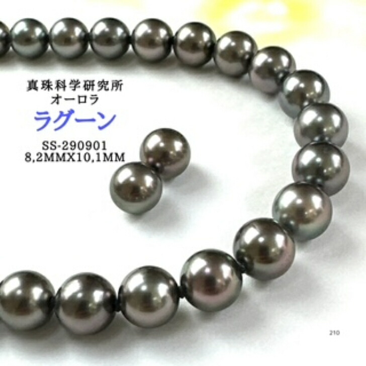楽天市場】〔動画あります〕【真珠科学研究所オーロラプラチナブラック
