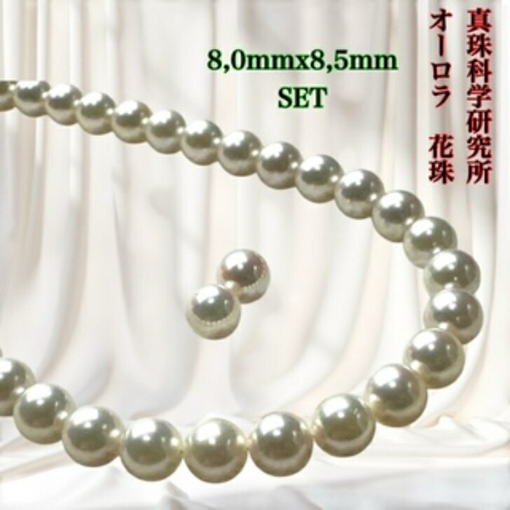 楽天市場】[真珠科学研究所 オーロラ天女 鑑別書付き] アコヤ花