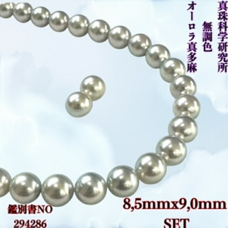 楽天市場】【極上！】【真多麻！】超希少！無調色ナチュラルブルーの最