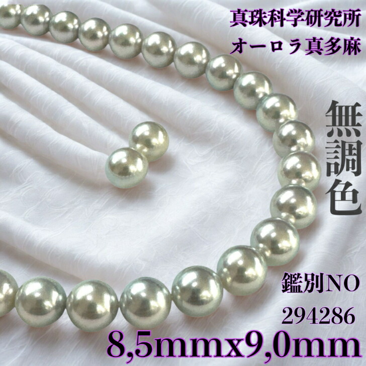楽天市場】ベビーパールの最高峰・最高品質《オーロラ彩凛珠！》繊細