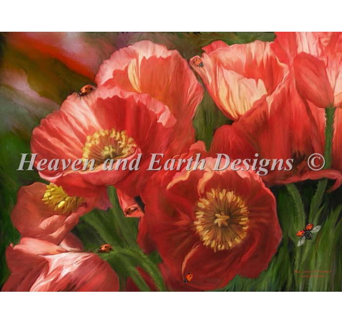 クロスステッチ図案 刺しゅう HAED 手芸 上級者 【赤いポピー】 Supersized Red Ladies Of Summer Max Colors