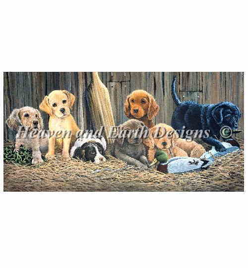 楽天市場 Haed クロスステッチししゅう図案 ナスティ ボーイズ Heaven And Earth Designs 輸入 Lane Kendrick 上級者 Nasty Boys 全面刺し クロスステッチ手芸雑貨シーボンヌ