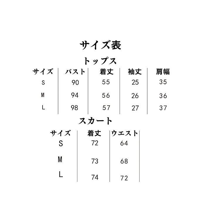 日本全国送料無料 セットアップ レディース 夏 スカートスーツ 2点セット スカート シフォンブラウス きれいめ ゆったり 30代 40代 カジュアル  おしゃれ 通勤 コーデ 韓国 www.ambienteymedio.tv