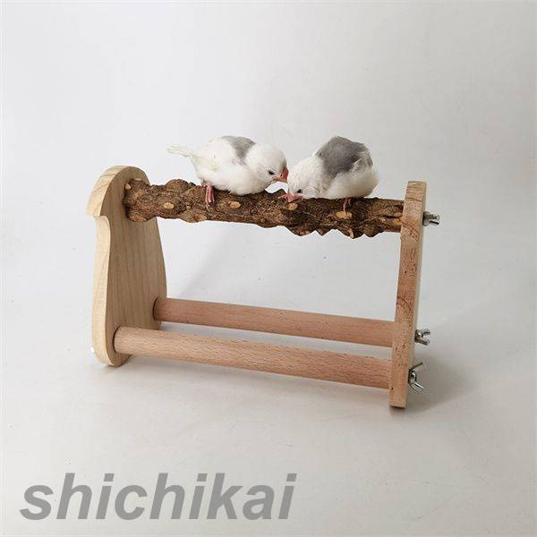 木製 鳥用スタンド バケツ付き 木製 鳥用スタンド バケツ付き 楽天市場】インコ 止まり木