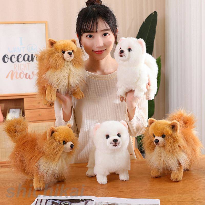 犬　ポメラニアン　ぬいぐるみ　ベストエバー　セット　まとめ売り 楽天市場】【BESTEVER】犬 ぬいぐるみ リアル 仔犬 くたくた