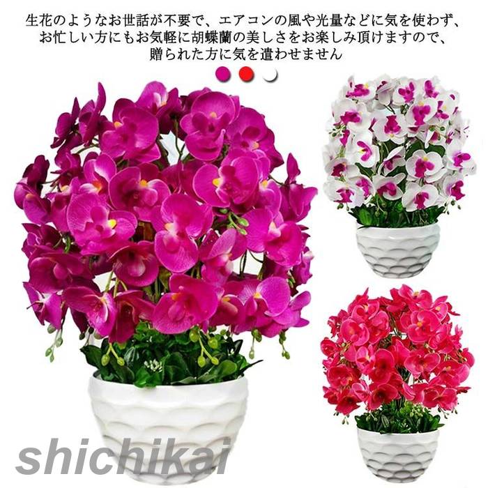 アートフラワー鉢花 ひょうたん型 赤と緑の花 楽天市場】花キリン 4号サイズ 2色セット 鉢花 キリン 赤 レッド