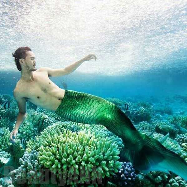 新生活 男女兼用 水族館演出用 水着 レディース 人魚姫 コスチューム マーメイド セパレートビーチ コスプレ 人魚姫 サイズ指定可 セクシー ハロウィン 仮装 水着 記念撮影 写真撮影用 プレゼント ギフト