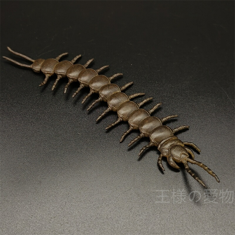 楽天市場】銅製置物 蝉 セミ 翼 金工品 細工品 約25G 桐箱付き 茶道具