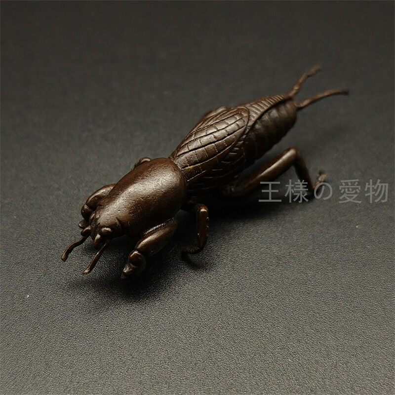 w*i様 銅製置物　ミヤマヒラタクワガタ　香道具　茶道具　銅虫作　刻印あり　銅製 楽天市場】銅製置物 甲虫 ミヤマヒラタクワガタ 香道具 茶道具