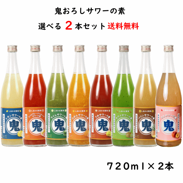 8種類から選べる 鬼おろし サワーの素 720ml×2本 送料無料 リキュール 北のさくら しあわせ果実