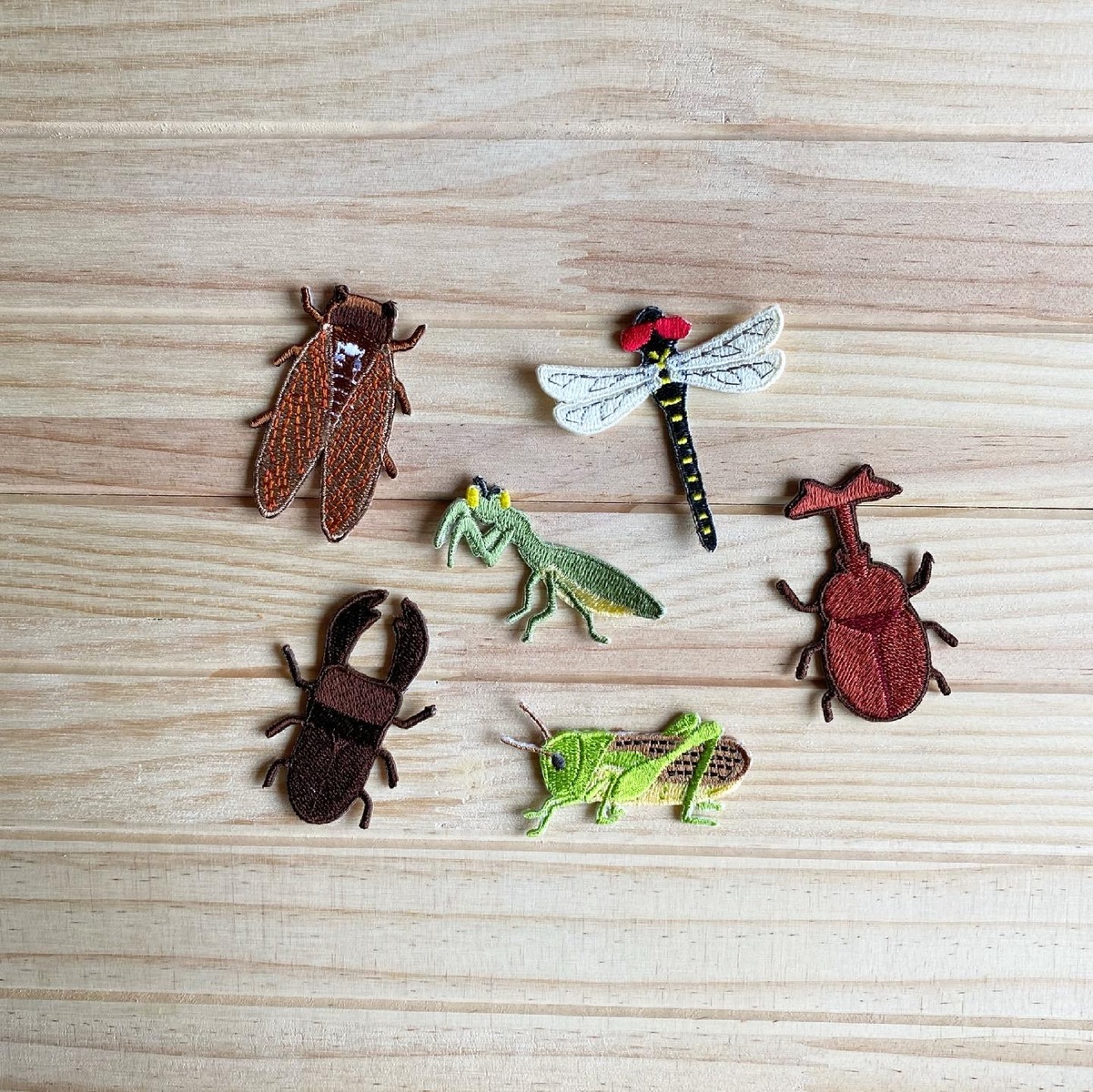 楽天市場 大 虫の刺繍ワッペン カブトムシ クワガタ カマキリ トノサマバッタ トンボ セミ 重松刺しゅう店