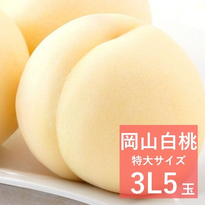 【250円オフクーポン】岡山県産 岡山白桃 【特大3Lサイズ】 5玉【出荷時期7月24日頃から8月7日頃】2026 お中元 おかやま夢白桃 本白桃 白麗 岡山 白桃 御中元 ギフト お供 お取り寄せ もも 夏ギフト フルーツ 果物 おかやまの桃 志ほや しほや｜志ほや
