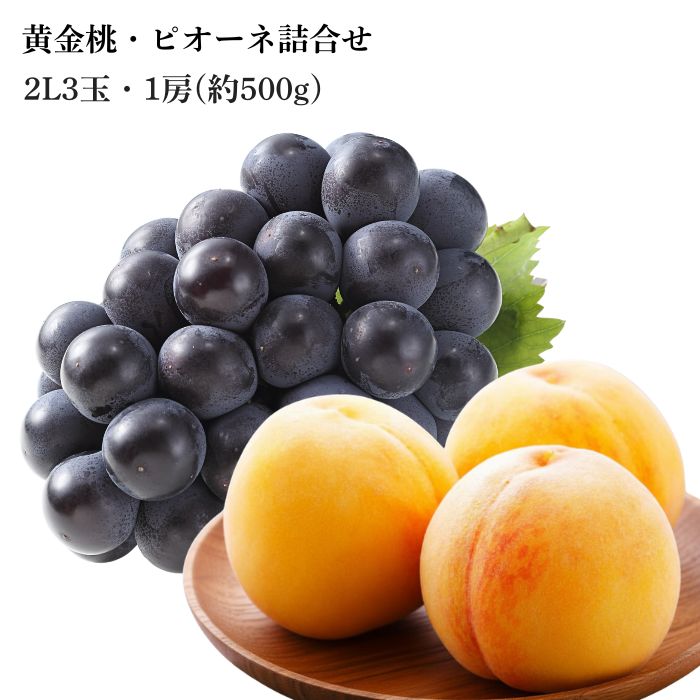 【250円オフクーポン】岡山県産 黄金桃ピオーネ 詰合せ 黄金桃 大玉 2Lサイズ 3玉 ピオーネ 1房500g【出荷時期8月下旬または9月初旬頃】2026 お中元 おうごん 黄桃 岡山 桃 ぶどう 黒ぶどう ギフト もも 葡萄 フルーツ 果物 おかやまの桃 志ほや しほや｜志ほや