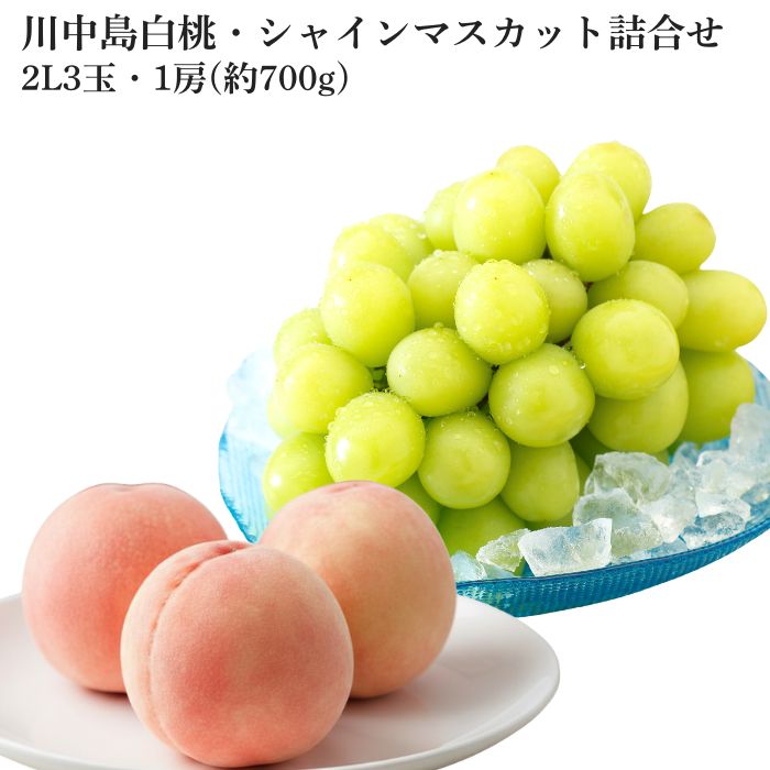 【250円オフクーポン】岡山県産 川中島白桃 シャインマスカット 詰合せ 2Lサイズ 大玉 3玉 シャインマスカット1房700g【出荷時期7月24日頃から8月7日頃】 2026 お中元 岡山 白桃 甘い 御中元 ギフト お供 お取り寄せ もも 夏ギフト フルーツ 果物 おかやまの桃|志ほや