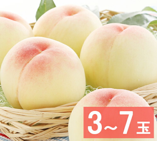 【出荷時期：7月上旬～7月中旬頃】【送料無料】水蜜桃　超特級(2Lサイズ)（3玉～7玉）<br>贈答用 岡山の桃 白桃 大玉 お中元 御中元 ギフト お供 お取り寄せ もも 夏ギフト フルーツ 果物 おかやまの桃<br>※沖縄・離島への配送不可