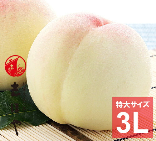【出荷時期：7月上旬～7月中旬頃】【送料無料】 水蜜桃 ≪特大3Lサイズ≫(5玉)<br>岡山 白桃 大玉 お中元 御中元 ギフト お供 お取り寄せ もも 夏ギフト フルーツ 果物 おかやまの桃<br>※沖縄・離島への配送不可
