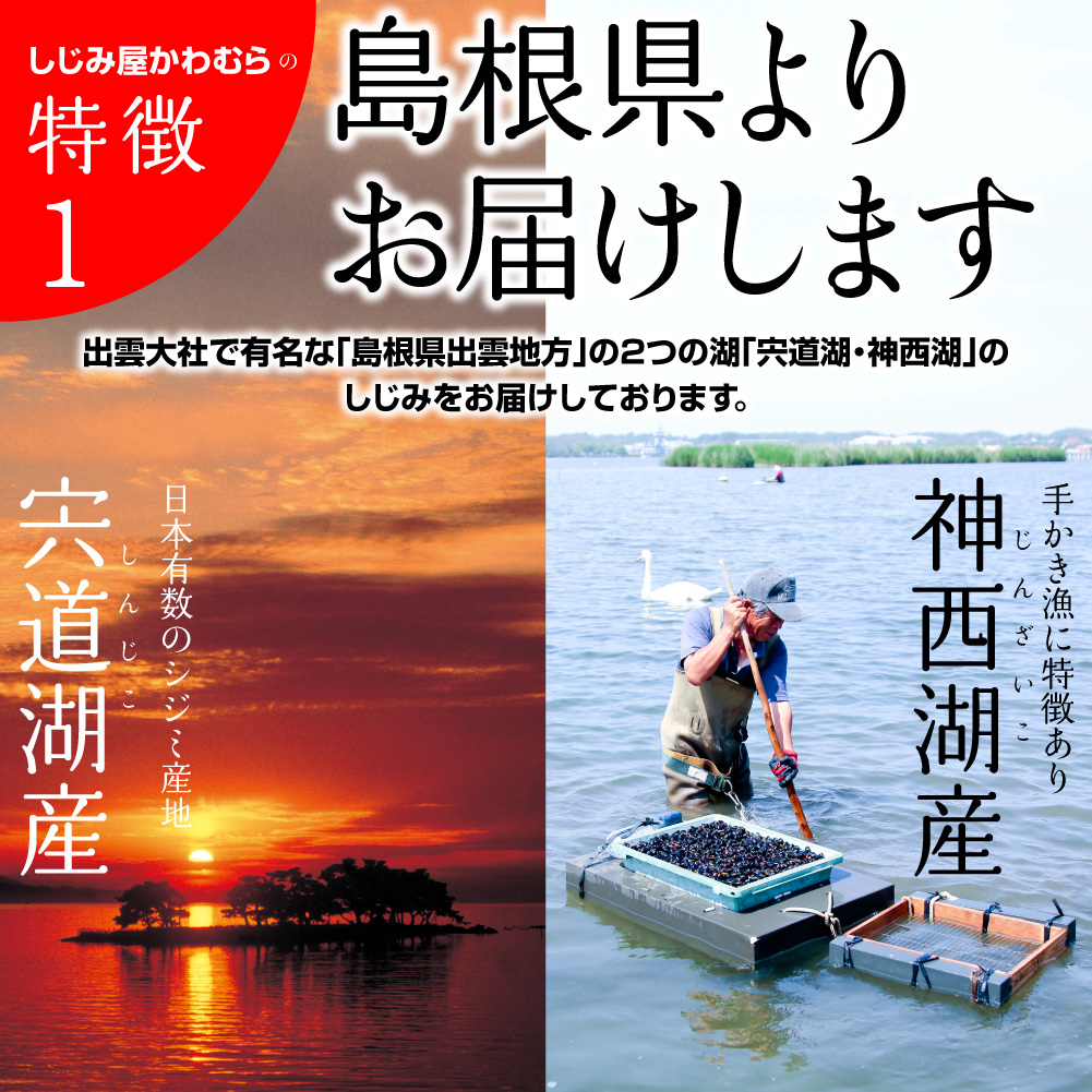 \楽天ランキング1位/宍道湖産冷凍しじみMサイズ1kg・数量限定企画♪しかも10kgまで送料一律!日本有数の漁獲量を誇る島根県・宍道湖産砂抜き冷凍しじみ(シジミ)【島根県鳥取県岡山県広島産山口県】
