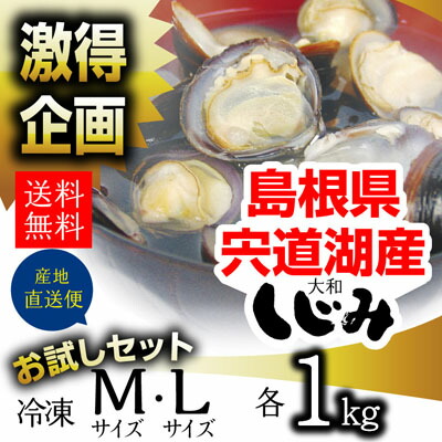 \楽天ランキング1位/宍道湖産冷凍しじみMサイズ1kg・数量限定企画♪しかも10kgまで送料一律!日本有数の漁獲量を誇る島根県・宍道湖産砂抜き冷凍しじみ(シジミ)【島根県鳥取県岡山県広島産山口県】