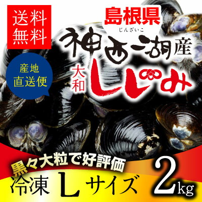 神西湖しじみLサイズ2kg
