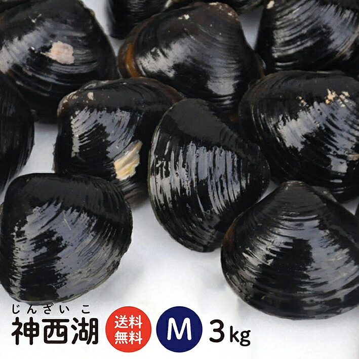 【送料無料】 神西湖 砂抜き済 冷凍しじみ Mサイズ 3kg(1kg×3袋、3キロ)島根県を代表するもう一つのしじみ産地、神西湖の砂抜き冷凍しじみ(シジミ)【国産 蜆 土用しじみ 冷凍シジミ 大和しじみ 時短 しじみ汁 オルニチン 産直 お取り寄せ 母の日 父の日】