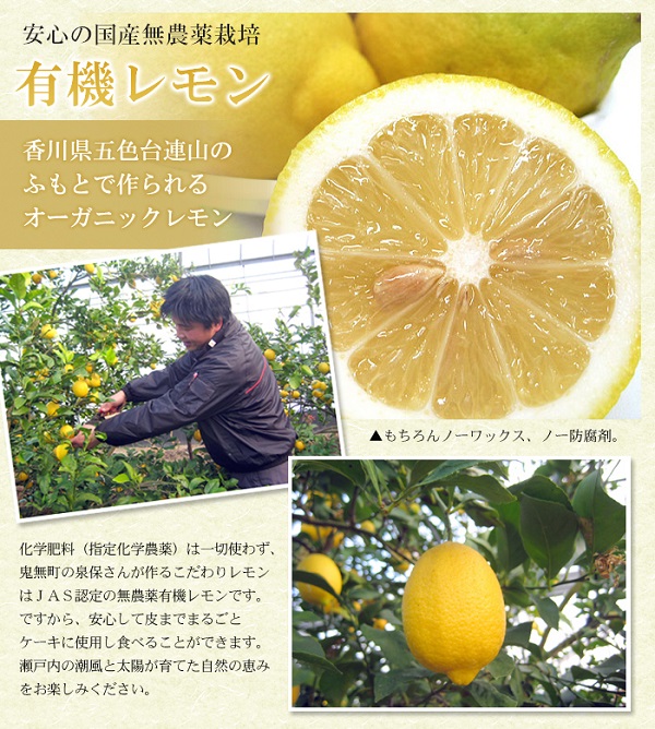 瀬戸内レモンケーキ 送料込 オーガニック 出産 冷蔵便 手作り お取り寄せ お中元 夏ギフト 結婚 誕生日