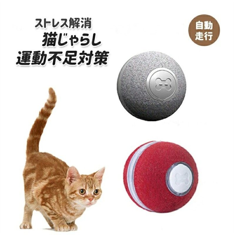 愛玩動物用 猫機材 猫 手あそび 猫じゃらしLED照明ランプ付 USB申し受ける式 一人命のせんたく 寂しさ取りやめる 運動すること不十分さ打つ手 緊迫状態取りやめる 猫大意気組み 愛くるしい キャットトイ 猫手あそび 自動小銃回転させる 猫 手あそび ねこ 手あそび 安全性のある原材料 猫用品-ペット・ペットグッズ