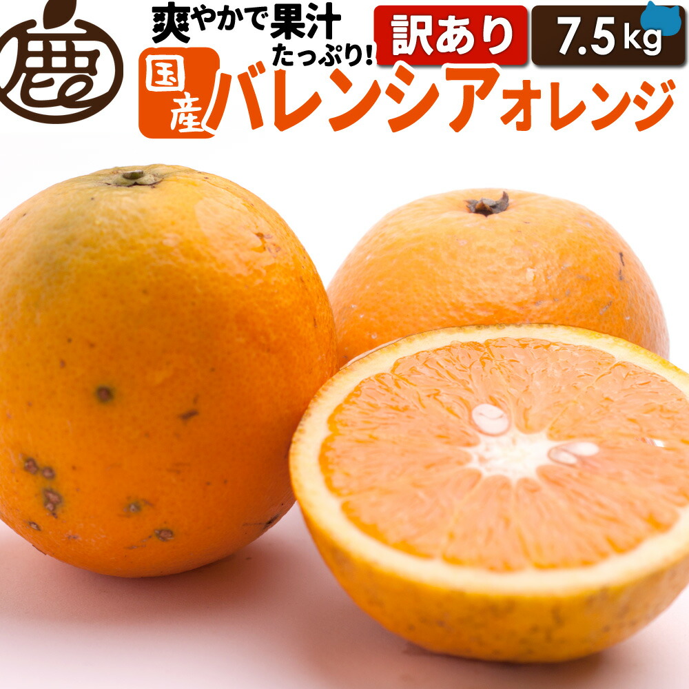 期間限定　田村バレンシアオレンジ　国産オレンジ　２Lサイズ　約7.5㎏　和歌山県 楽天市場】田村出荷組合 バレンシアオレンジ 赤秀 2L (38玉