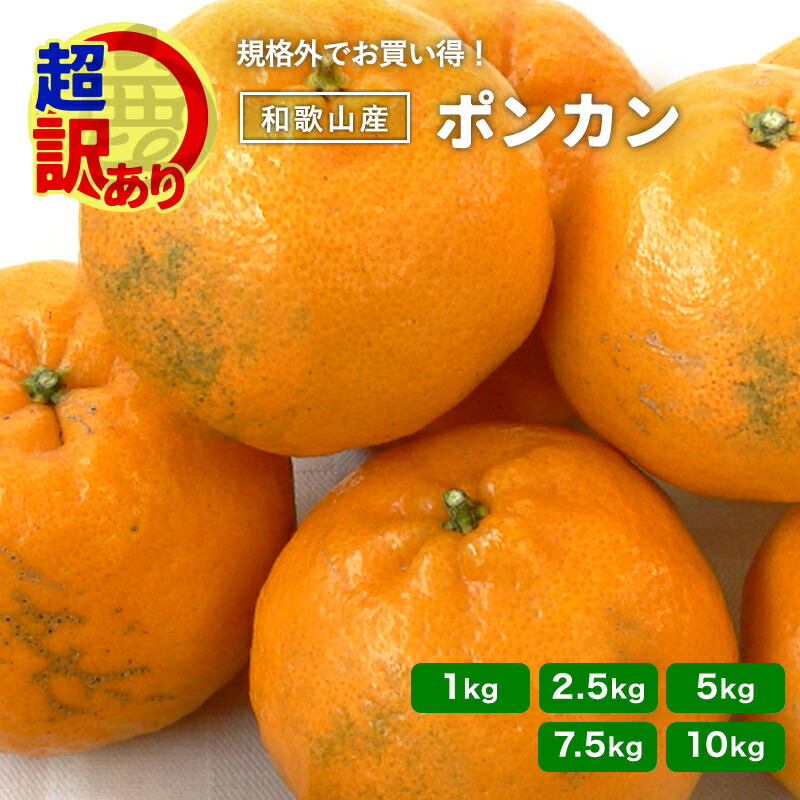 楽天市場】超 訳あり ポンカン ぽんかん 1kg 〜 10kg 送料無料 国産