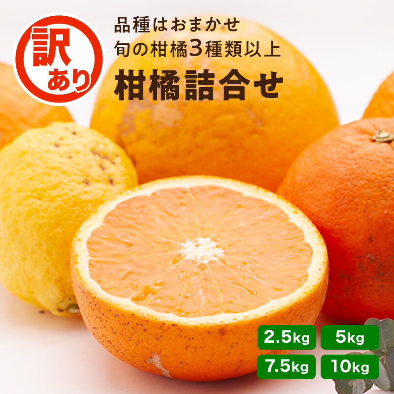 楽天市場】☆25日限定！ポイント5倍！☆ 【特別セール】 完熟