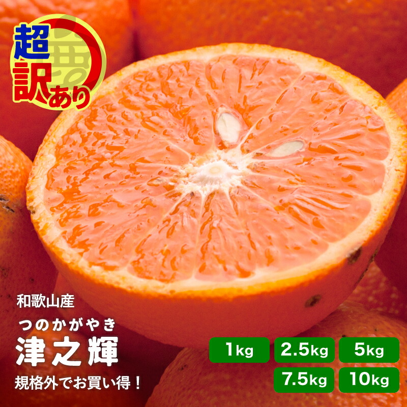 楽天市場】超 訳あり 津之輝 1kg～10kg 和歌山 みかん 柑橘 規格外