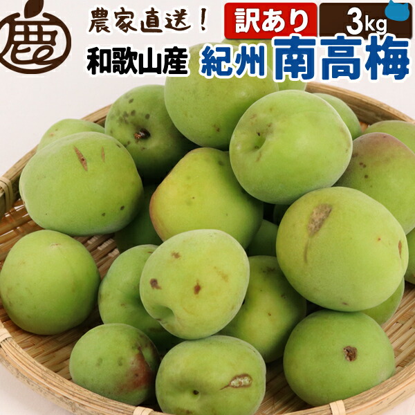 【予約】 訳あり 紀州 南高梅 発送開始予定5月末～6月上旬頃【 1kg 2.5kg 5kg 10kg 送料無料 KS わけあり 青梅 和歌山産 産直 黄梅含む  生梅 梅干し用 梅酒の梅 梅酒用 ジャム シロップ 直送 】