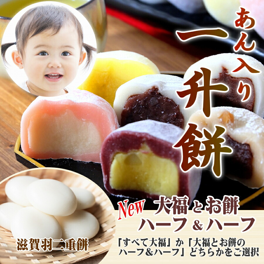 あん入り一升餅・名入れ無料☆あんこ・あん餅・小分け☆1歳お誕生日(御 