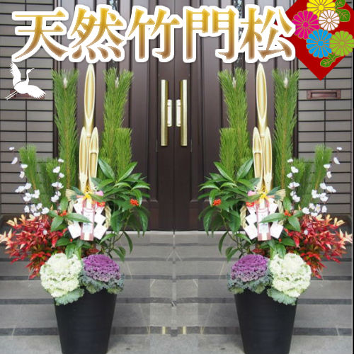 楽天市場】28.29日出荷OK！年内お届可能「楽天ショップ・オブ・ザ