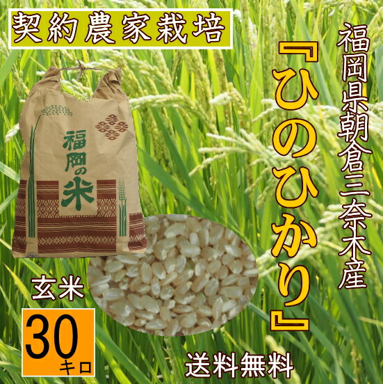 楽天市場】【令和7年産新米】米.・お米 夢つくし30kg（玄米
