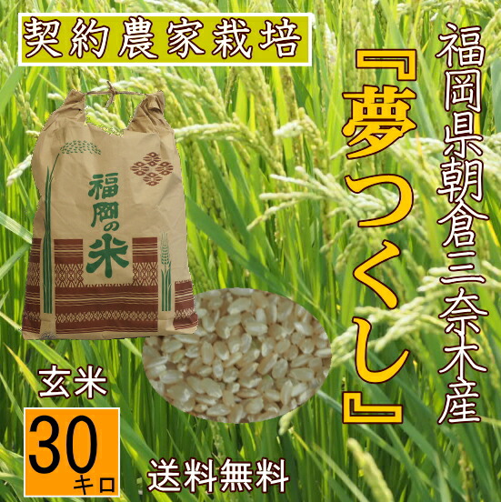 楽天市場】【数量限定】【令和6年】兵庫県産 ヒノヒカリ 30kg