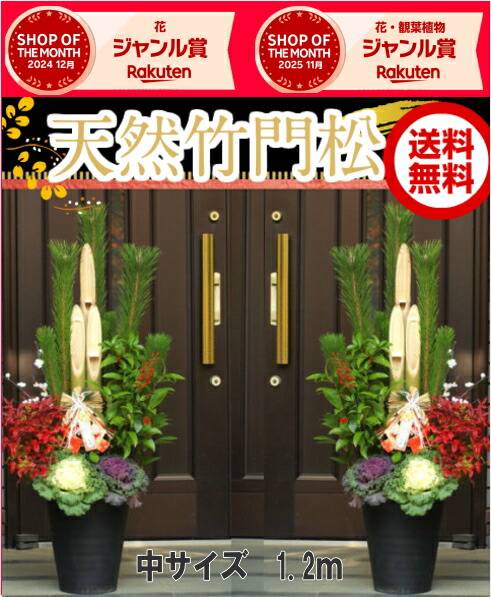 門松（90センチ） 門松 90cm || 通販・販売