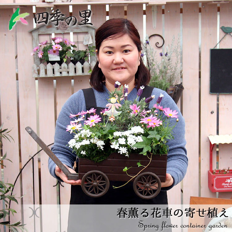 楽天市場 送料無料 花車の寄せ植え ガーデニングショップ四季の里