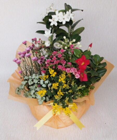 【送料無料】花材はおまかせ、お花の贈り物・花かご盛りセット 【楽ギフ_包装】【楽ギフ_メッセ】【楽ギフ_メッセ入力】【対応_九州】【対応_中国】【対応_近畿】