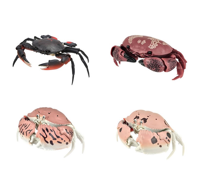 楽天市場 バンダイ ガシャポン いきもの大図鑑 かに 全４種セット 四季の宝箱