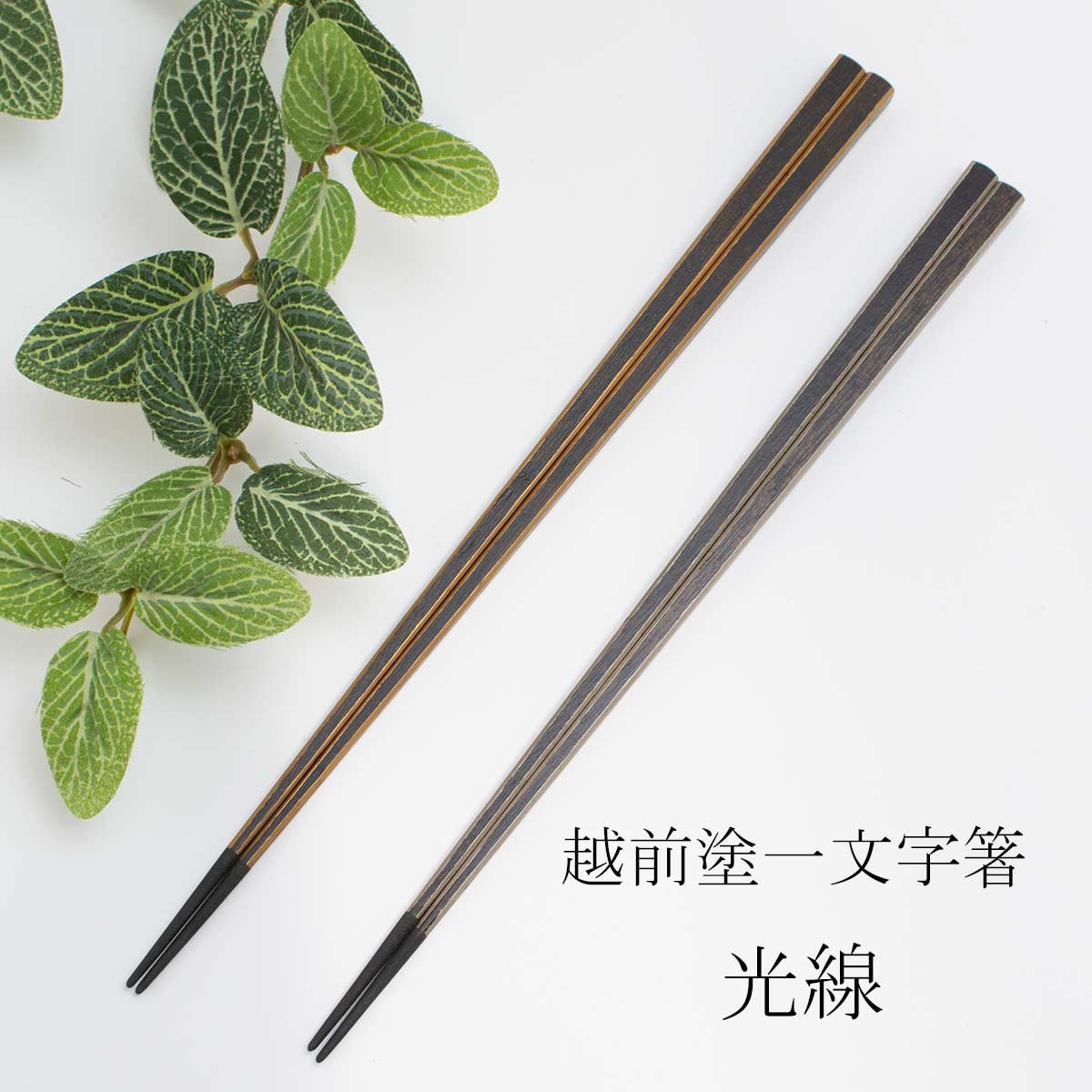 楽天市場】越前塗 亀甲箸 黒拭 TSUCHINAO -つちなお- 土直漆器