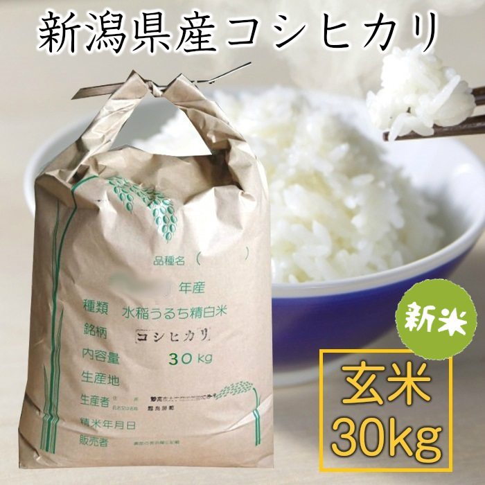 楽天市場】【期間限定販売】新米 令和5年度 新潟県矢代産コシヒカリ