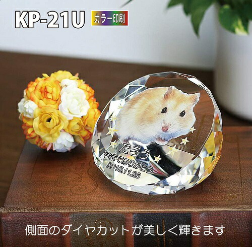 愛玩動物位牌【結晶位牌 KP-21U (小） 色つや刷り上げる 】