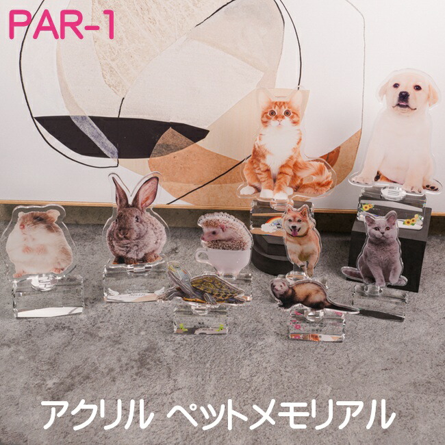 PAR-1 (中）色合い刷り上げるアクリル樹脂 愛玩動物メモリアル