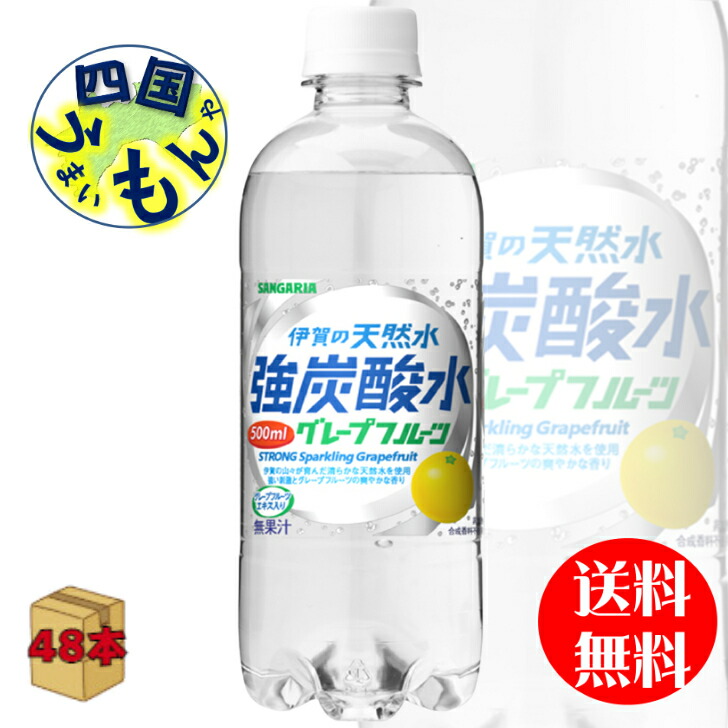 蔵 1Lペットボトル×12本入 サンガリア レモン 伊賀の天然水 炭酸水