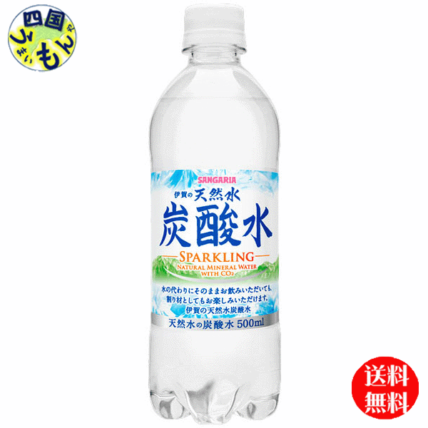 自家製ドリンク 水筒替わり! 強炭酸 500ミリ空ペットボトル 24本セット