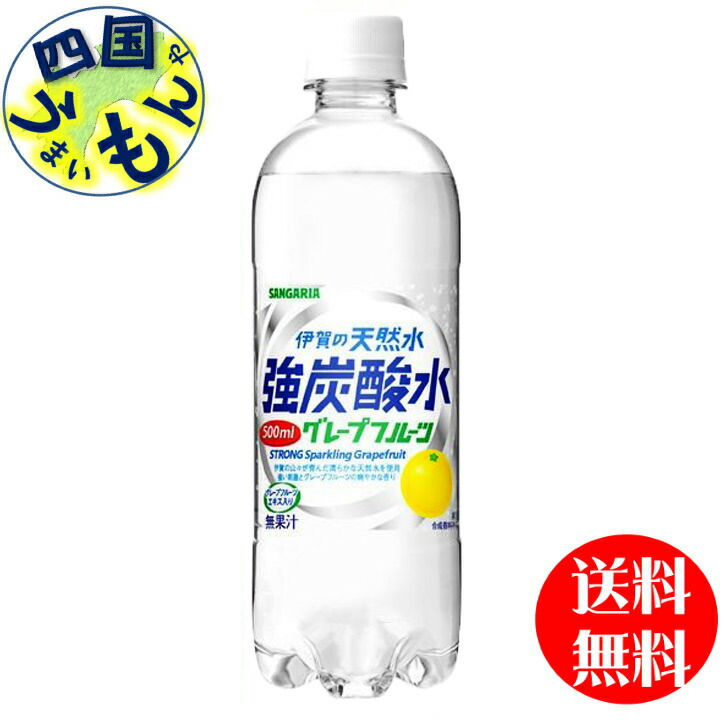 伊賀の天然水 強炭酸水 1ケース12本入 1000ml サンガリア 返品種別B1,380円 【SALE／77%OFF】 1000ml