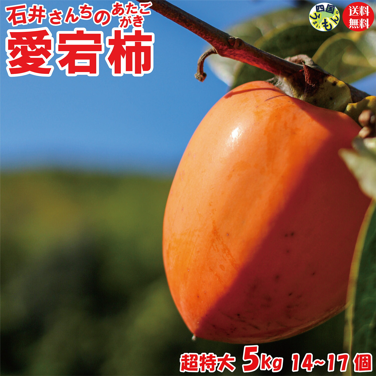 みいこ様~☆お得意様ご予約出品ページ渋柿15キロ Amazon.co.jp: 高知産シブ柿約15kg渋柿,しぶ柿 : 食品・飲料・お酒