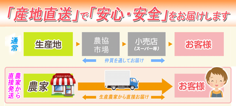 スナップえんどう1kg箱入り送料無料酒のつまみにいかがですか?新鮮朝もぎ直送レンジで簡単調理豆えんどう豆スナックエンドウ佐藤さんちのスナップエンドウ
