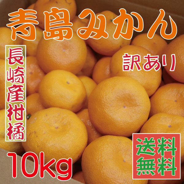長崎発青島みかん奥手訳あり送料無料10kg発送開始しましたこたつみかん