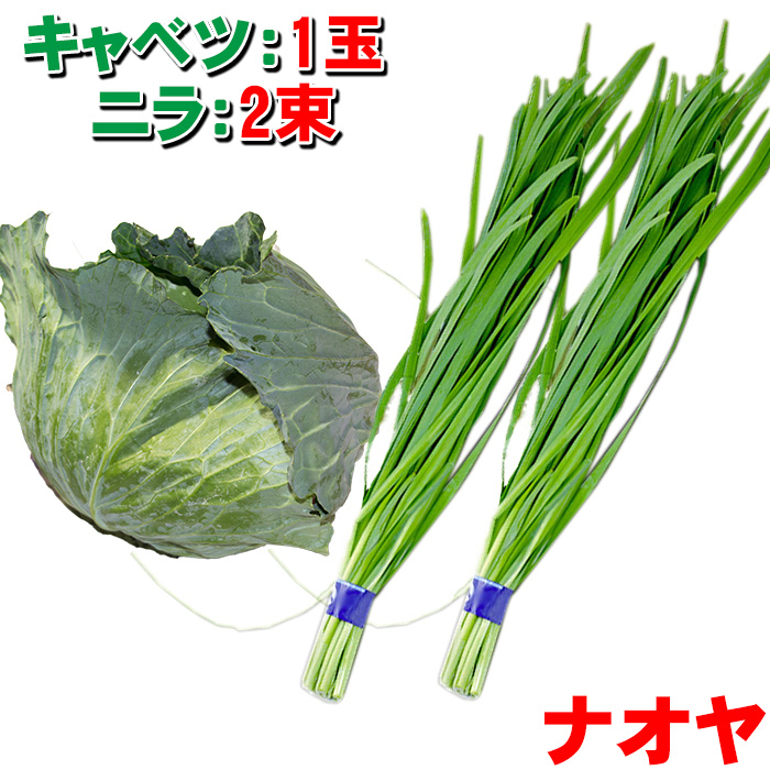 楽天市場 もつ鍋用 野菜追加 キャベツ 1玉 ニラ 2束 九州島原 新鮮野菜直送便 ナオヤ